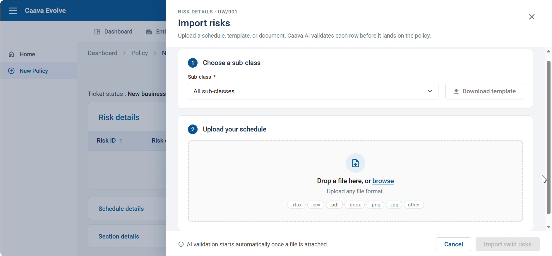 AI risk import validation